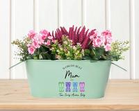 Seau de Jardinage Ovale en Fer Galvanisé avec Poignées Métalliques Couleurs Pastel pour Décoration Intérieure – Logo Personnalisé Accepté – Vente en Gros