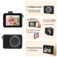 Mini 1080P HD 2.0" LCD verborgen zaklamp met ingebouwde batterijhouder, digitale zakcamera voor dagelijks gebruik, vlogs/vergaderingen/opnames