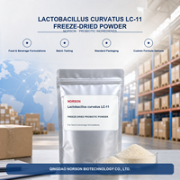 Fournisseur OEM ODM de Lactobacillus Crispatus 10 milliards UFC/g, formule personnalisée, poudre probiotique lyophilisée, marque privée