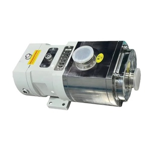 Bomba de Doble Tornillo Autocebante de Alta Eficiencia y Dirección Reversible para Transporte de Partículas Sólidas - Product Image 1