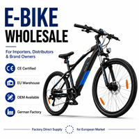 Fabricant de vélos électriques OEM - livraison rapide et gratuite, meilleurs services après-vente et garantie EU pour la croissance de votre entreprise