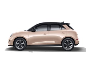 2025 Great Wall Good Cat Motor <span class=keywords><strong>Ora</strong></span> Véhicule électrique 5 places Autonomie de 100 km-New Energy Car - Product Image 3