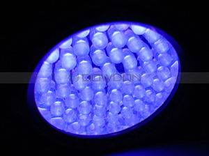Lampe <span class=keywords><strong>de</strong></span> poche 51 UV LED 395nm, détecteur <span class=keywords><strong>de</strong></span> lumière noire ultraviolette pour l'urine <span class=keywords><strong>de</strong></span> chien, les taches d'animaux et les punaises <span class=keywords><strong>de</strong></span> <span class=keywords><strong>lit</strong></span>, torche UV - Product Image 6
