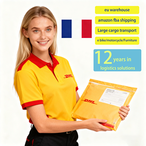 Servicios Profesionales de Envío para Bicicletas Eléctricas desde China a Francia e Italia Vía Aérea + Express, 6-10 Días de Tránsito, Seguro de Transporte - Product Image 1