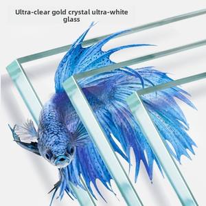 JSD Groothandel Ultra-Wit Transparant Vierkant Glazen Visbak Zoutwateraquarium 70L Ecologisch Vriendelijk Thuis Bureau Ecosystem - Product Image 3