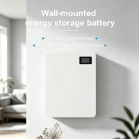 Batterie Lithium LiFePO4 51.2V 200Ah Blanc Pur 10kWh Direct Usine, Cellules Grade A, 6000+ Cycles, BMS, pour Stockage d'Énergie Domestique (10kWh)