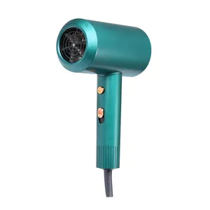 Noise Reduction Salon Level Large Air Volume High Speed Turbo Motor Hair Dryer Professional AC,DC as Option Electric 1000-1200W