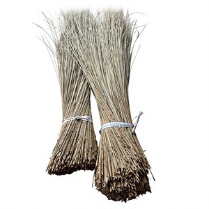 Paquete de Palos de Escoba de Fibra de Coco Natural Vigifarm - Flexibles y Duraderos para Limpieza del Jardín, Exteriores y Hogar - Product Image 1