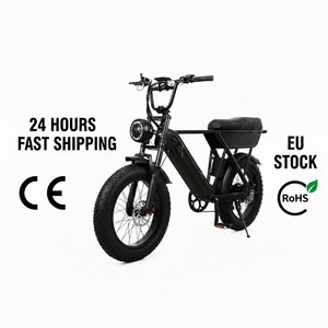Envío Inmediato desde el Almacén de Italia: Bicicleta Eléctrica Y20 de 250w y 20 Pulgadas con Neumáticos Anchos para Desplazamientos Urbanos, Modelo para Adultos de 25 km/h - Product Image 1