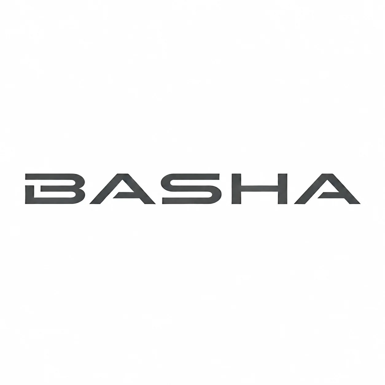 Yiwu Basha Sports Development Co., Ltd. logo