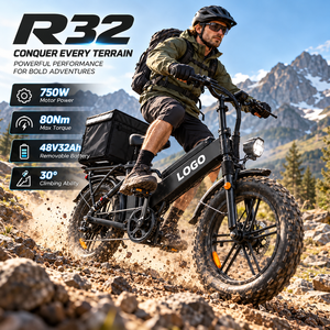 Bicicleta Eléctrica de Reparto con Marco Bajo, Logotipo Personalizado OEM, 48V 32Ah 750W, Neumático 18x2.5, Freno Hidráulico de 180mm, Doble Amortiguación, Bicicleta Eléctrica de Carga R32 - Product Image 1