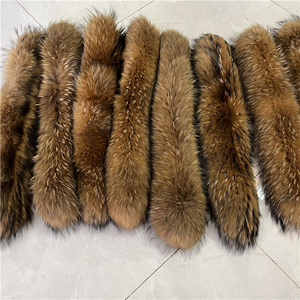 <span class=keywords><strong>Raccoon</strong></span> Skin Mujer Abrigo Cuello Personalización - Product Image 6