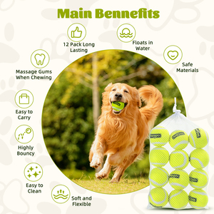Nobleza 6 palline da Tennis in gomma naturale con palline da cane interattive in confezione, giocattoli da gioco per cani - Product Image 3