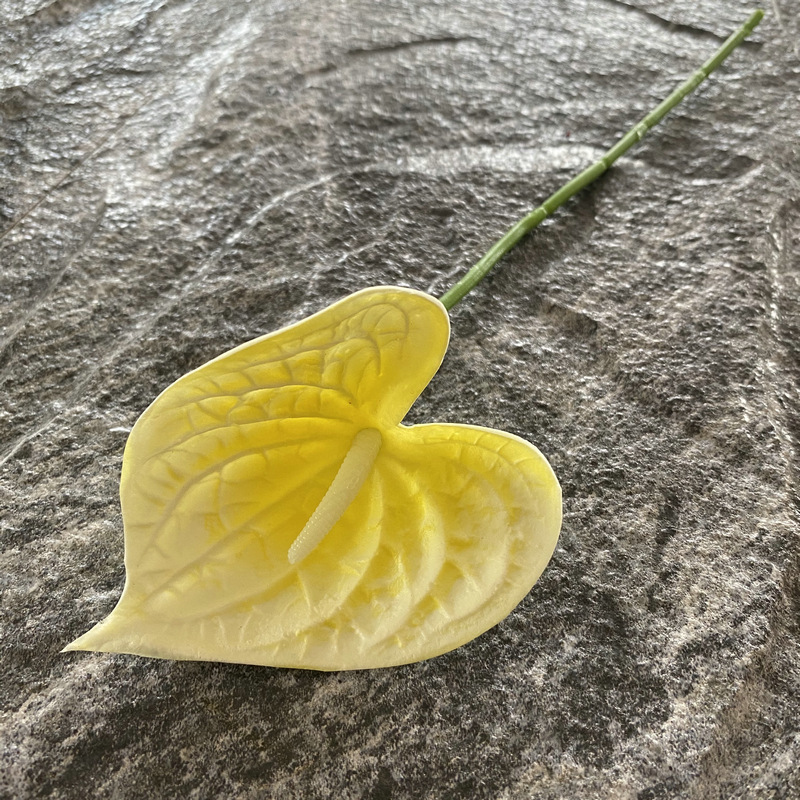 Amarillo blanco