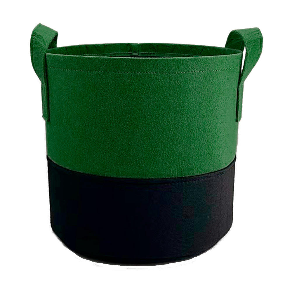 Christmas green black