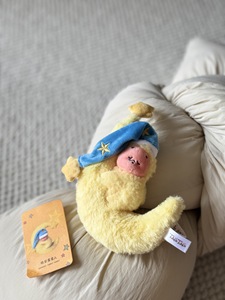 2026 nuovo siamo tutti Star di peluche Star serie uomo <span class=keywords><strong>piccola</strong></span> bambola di peluche - Product Image 3