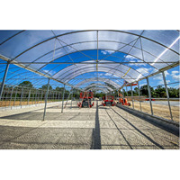 Serre de luxe avec cadre en aluminium avec couverture en polycarbonate de jardin extérieur populaire de grande taille à vendre