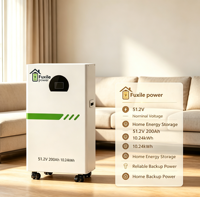 Batterie de stockage d'énergie domestique Fuxile Split Hybrid 51,2 V 200 Ah LiFePO4 montée sur rack 10,24 kWh avec BMS intelligent intégré et décharge de crête de 200 A