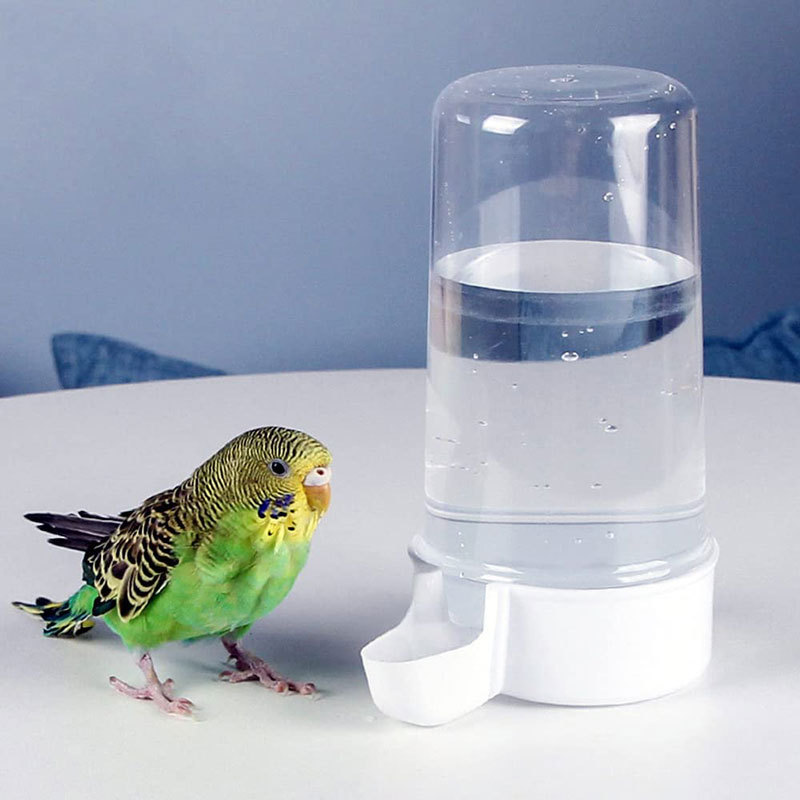 bird cage food holders accessories