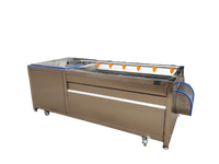 Automatische professionele roestvrijstalen fruit- en groentewasser, aardappelreiniger, -wasser en -schiller, hoge efficiëntie