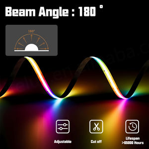 Tira de Luces LED RGBIC FCOB, 576 LED, DC24V, Direccionable por SPI, IC WS2811, Color de Ensueño, 10/12 mm, WS2812, Luces COB FOB Altamente Flexibles - Product Image 5