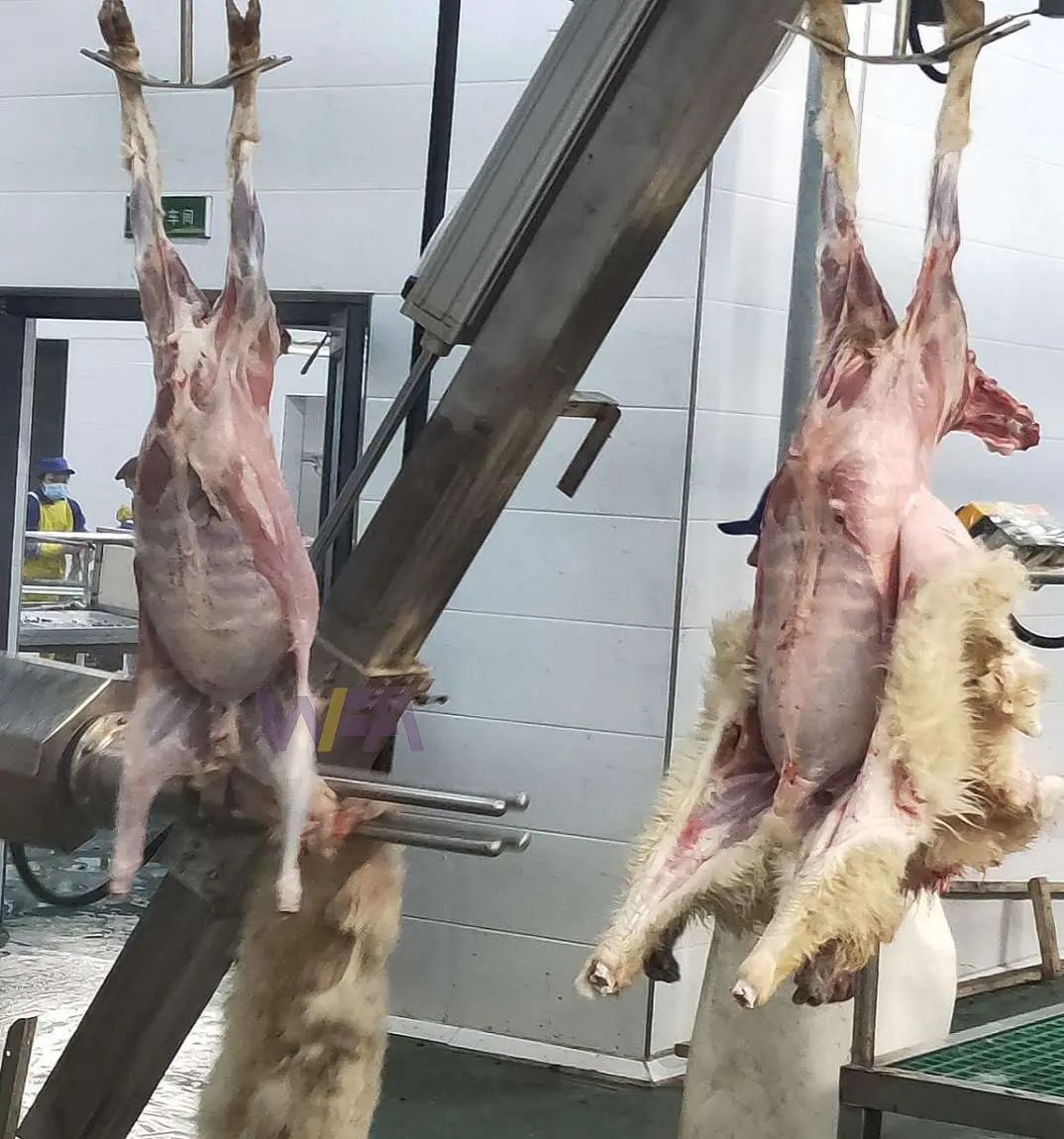 Chất lượng cao dê giết mổ dòng cừu skinning máy cho Lamb abattoir