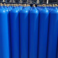 Bouteilles d'acétylène et de dioxyde de carbone haute pression en acier Forterra 40L pour l'oxygène et les gaz industriels