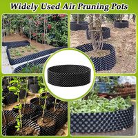 Op maat gemaakte grote plastic plantenbakken voor buiten, met luchtsnoei-systeem, voor gebruik in moestuin en fruittuin.