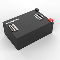 Paket Baterai Lithium LiFePO4 60V 330Ah Kapasitas Tinggi Daya Tahan Lama untuk Kendaraan Listrik, Golf Cart, Kendaraan Utilitas OEM ODM