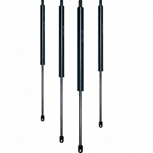 C 200 Course F 600 N Vérin oléopneumatique (VO20/060) pour les produits de sécurité et de protection - Product Image 1