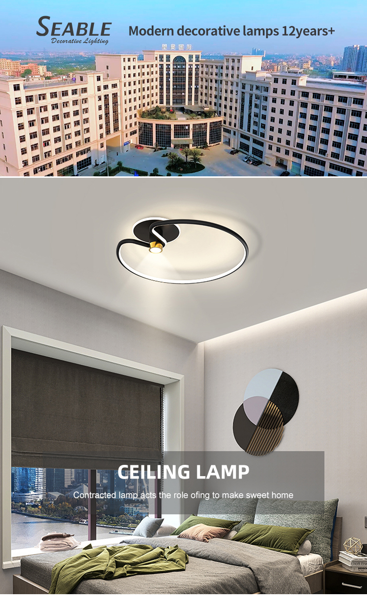 Long Term Use Indoor Fashion Decoration Black Aluminum Bedroom Living Room Modern LED Ceiling Lamp