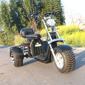 2000w 60v1 2ah/20ah batterie amovible citycoco fat tire 3 roues scooter électrique canada/tricycle/trike/vélo/<span class=keywords><strong>moto</strong></span> - Product Image 6