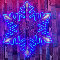 Novedades: Luz LED 2D con Forma de Copo de Nieve con Motivo de Destello Sincronizado para Navidad