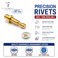 Tianfang Precision Solid Slotted Pins and Brass Mini Rivets Pins Suitable for Fastening Electronic Connector Assemblies