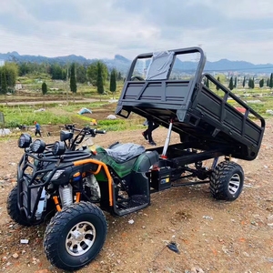 Moto da Montagna Fuoristrada 300cc a Benzina, Veicoli Agricoli con Trazione Integrale per Fattoria - Product Image 2