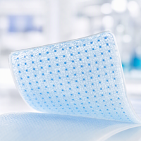 Bandes blanchissantes pour les dents à double hydroxyapatite HAP, nouveau design, soins bucco-dentaires, faible MOQ, vente chaude