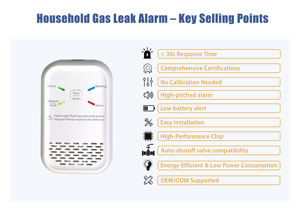 उच्च गुणवत्ता वाले हनीमून सेंसर के साथ दीवार-घुड़सवार घरेलू एसी गैस अलार्म, घर की सुरक्षा के लिए स्थिर और विश्वसनीय - Product Image 3