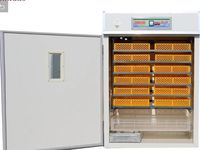 5000 automatique poulet solaire incubateur d'oeufs contrôle Intelligent volaille poulet écloserie Machine/oeuf incubateur écloserie