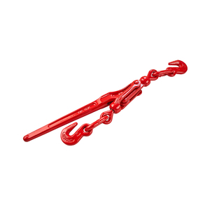 G70 tùy chỉnh 1/4-5/16-3/8-1/2 ''chuỗi <span class=keywords><strong>Ratchet</strong></span> tải chất kết dính với móc sơn tĩnh điện tiêu chuẩn - Product Image 4