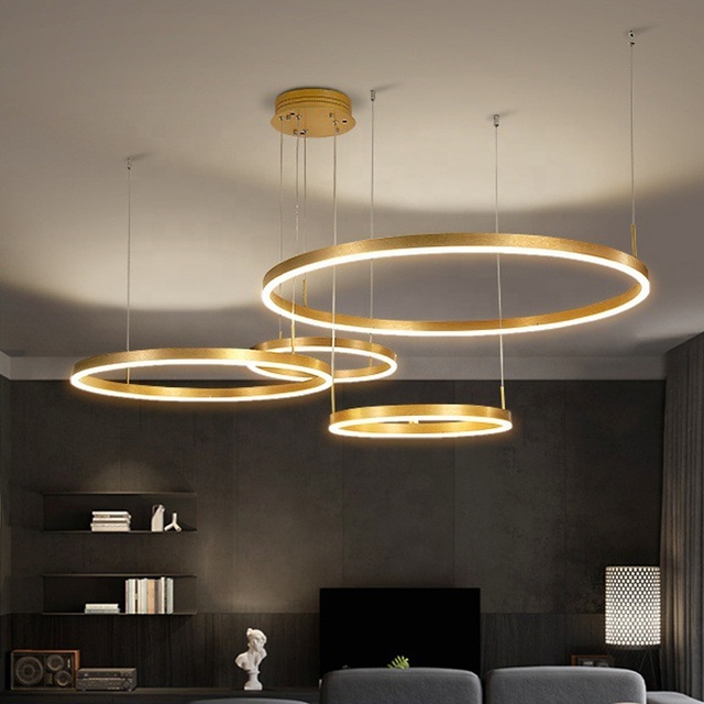 Suspended Curve Linear Light Led Chandelier Modern Circle Pendant Light Ring Led Circular Lamp for Ceiling Designer Lights