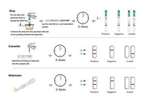 Frauen Home Testing Urin Ovulation Schnelltest Kits Ovulation streifen Lh Ovulation teststreifen - Product Image 4