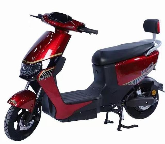 Electric Scooter for Adults 500W Rear Hub Motor High Speed 48V Lead Acid 15AH Electronic Long Range Steel Frame Disc Brakes