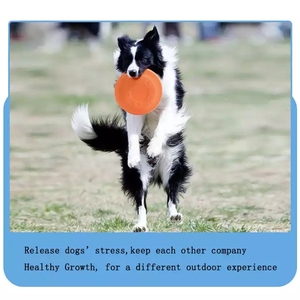 Bestseller Eva Huisdier Bijtbestendige Vliegende Schijf Drijvende Speelgoedhond Speciaal Trainingsspeelgoed - Product Image 6