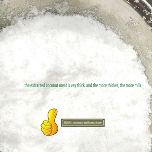 SURRI SUS304 Cửa Hàng Nhỏ Điện Dừa Vắt Sữa - Product Image 5