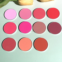 Palette de fard à joues DIY avec logo personnalisé, poudre de visage légère, fard à joues 11 couleurs, haute pigmentation, minéral, mélangeable, poudre de contour