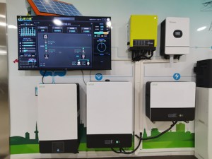 Smart APP Lithium Ion Battery Powerwall 10Kwh Home Lithium Battery Solar Storage Built-In BMS 48V Powerwall Solar Battery - Product Image 2