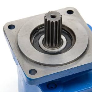 Bomba de engranajes de repuestos hidráulicos P3112 1163041833T 5337993 - Product Image 6