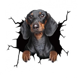 Vinilos Decorativos Removibles <span class=keywords><strong>para</strong></span> Autos con Diseño <span class=keywords><strong>de</strong></span> Perro Adorable, Impresión Personalizada, 1 Año <span class=keywords><strong>de</strong></span> Garantía, Estilo Personalizado, Decoración <span class=keywords><strong>para</strong></span> Ventanas - Product Image 3