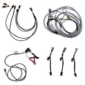 Kabel Harness Otomotif Konektor DT Jantan dan Betina, Perakitan Kabel, Kustom, Produsen OEM - Product Image 1