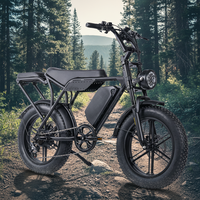 Vélo électrique tout-terrain avec frein à disque hydraulique, 60V 30Ah 250W, 7 vitesses, 30 mph, pneus larges 20*4 pouces, en stock aux États-Unis